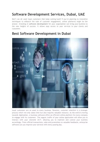 Software Development Services, Dubai, UAE