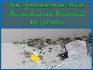 We Specialize in Mold Remediation/Removal in Toronto