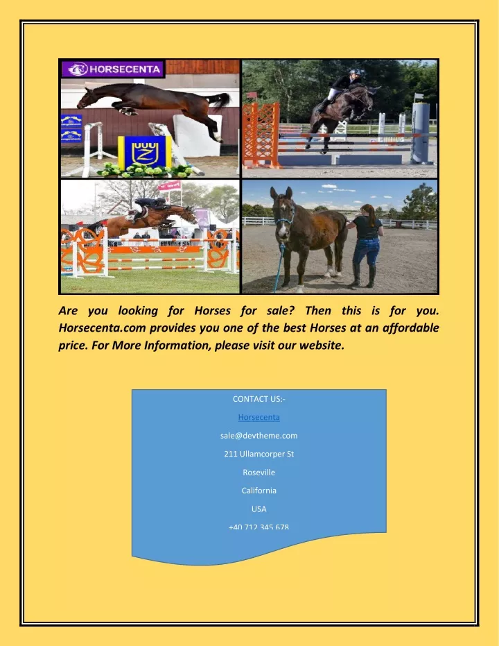 are you looking for horses for sale then this