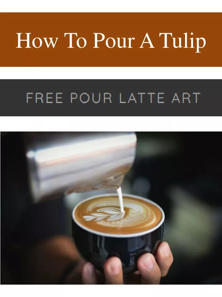 how to pour a tulip