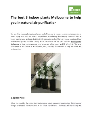 The best 3 indoor plants Melbourne to help you in natural air purification