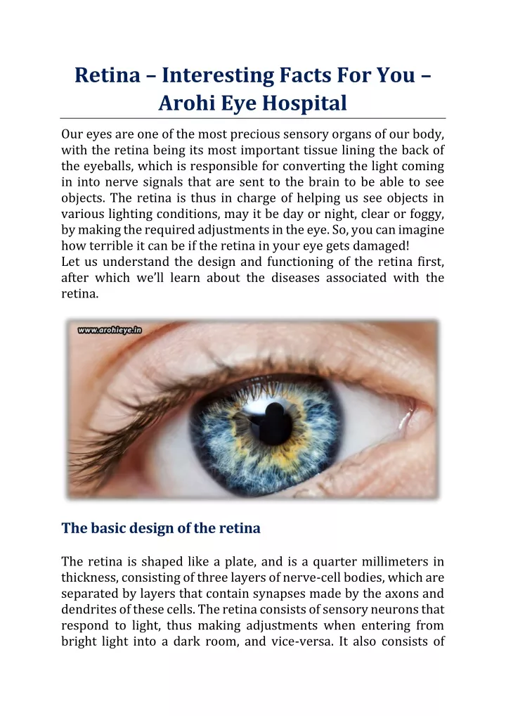 retina interesting facts for you arohi