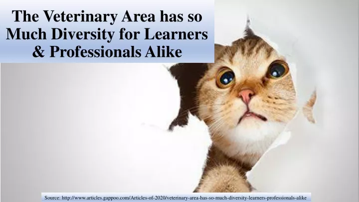 the veterinary area has so much diversity for learners professionals alike