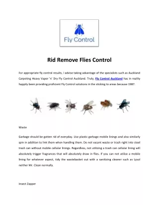 Fly Control Auckland, Best Kill Flies, Pest North Shore, West