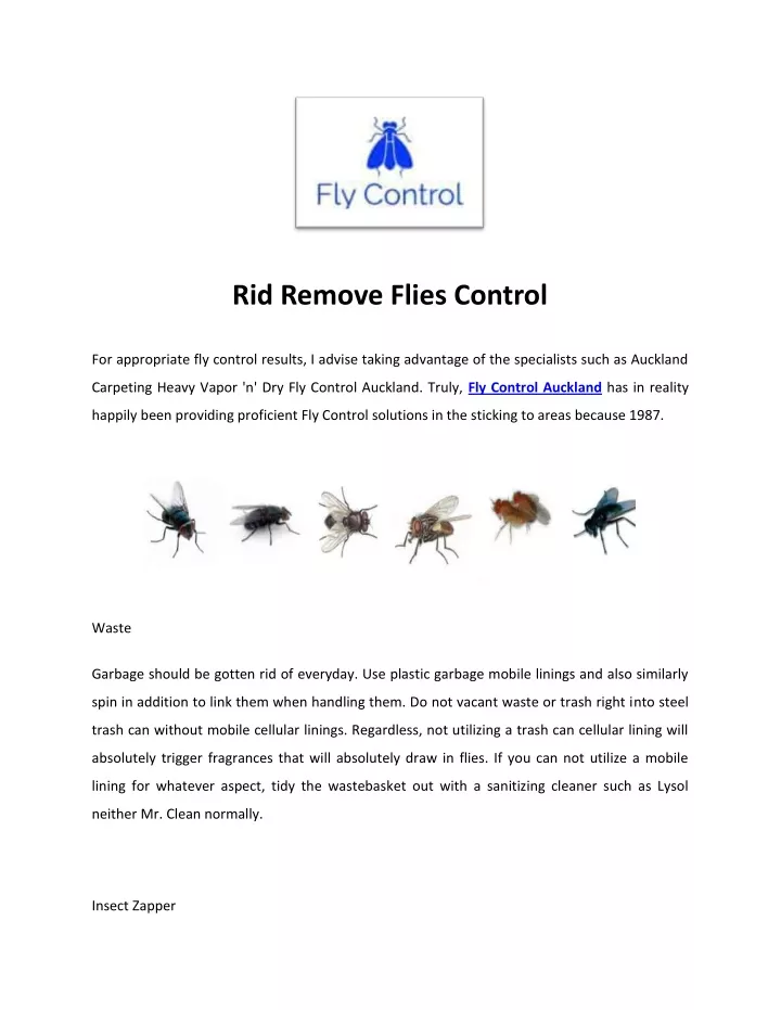 rid remove flies control