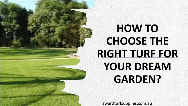 how to choose the right turf for your dream garden