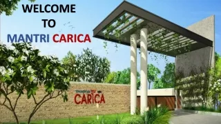 MANTRI CARICA PPT