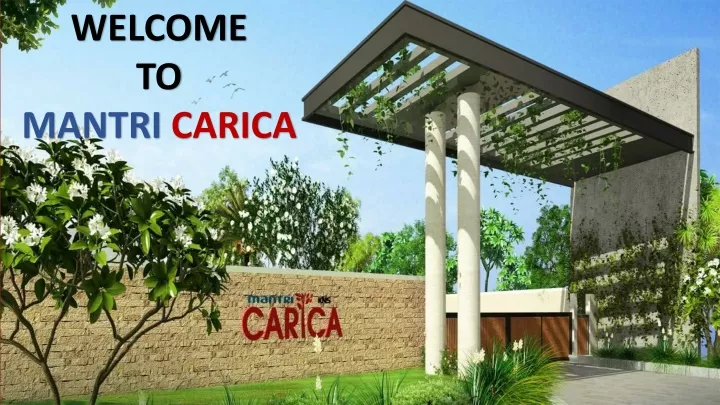 welcome to mantri carica