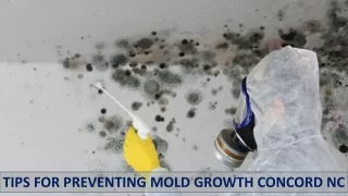 tips for preventing mold growth concord nc