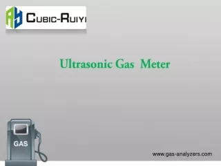 Ultrasonic Gas Meter