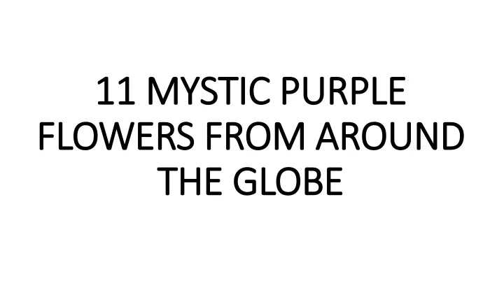 11 mystic purple flowers from around the globe