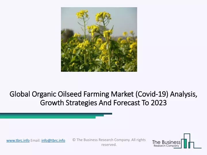 global organic oilseed farming market global
