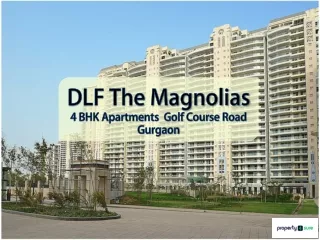 4 BHK in DLF The Magnolias for Rent - Property4Sure