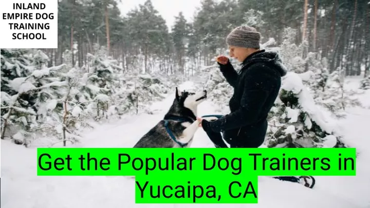 get the popular dog trainers in yucaipa ca