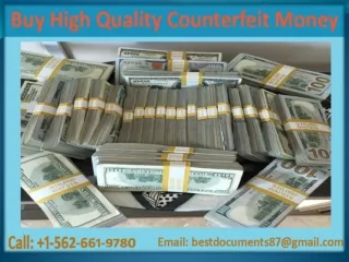 High Quality Undetectable Counterfeit Money For Sale | World Legit Suppliers