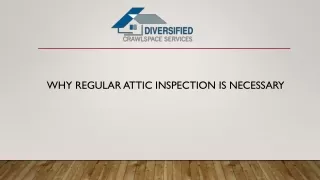 Crawl Space Cleanup & Attic Services
