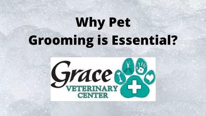 why pet grooming is essential