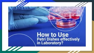 How to Use Petri Dishes effectively in Laboratory | Science Equip Pty Ltd Visit: https://scienceequip.com.au/blogs/news/