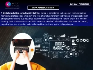 digital marketing consultant in Delhi