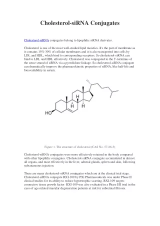 cholesterol sirna conjugates