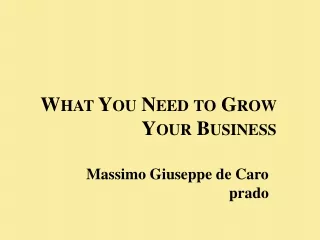 Massimo Giuseppe de Caro prado - What you need to develop your business immediately?