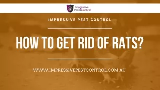 How to get Rid of Rats | Impressive Pest Control