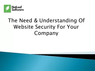 the need understanding of website security