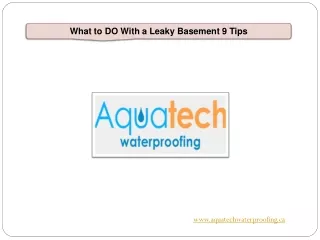 What to DO With a Leaky Basement 9 Tips