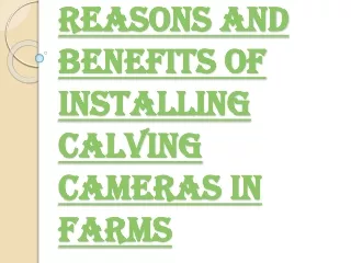 Importance of Installing Calving Cameras