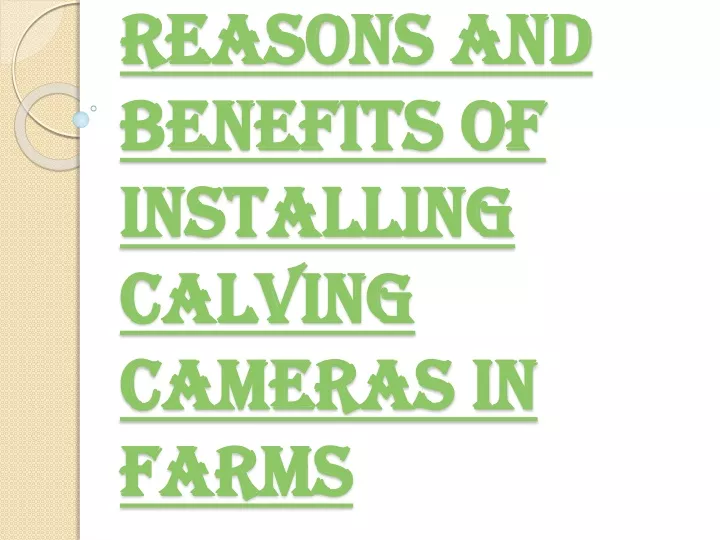 reasons and benefits of installing calving cameras in farms
