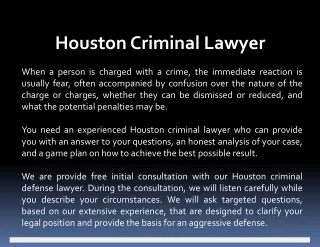 Houston criminal lawyer