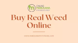 Buy Real Weed Online from Marijuana Pot Strains