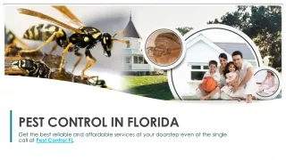 Pest Control FL