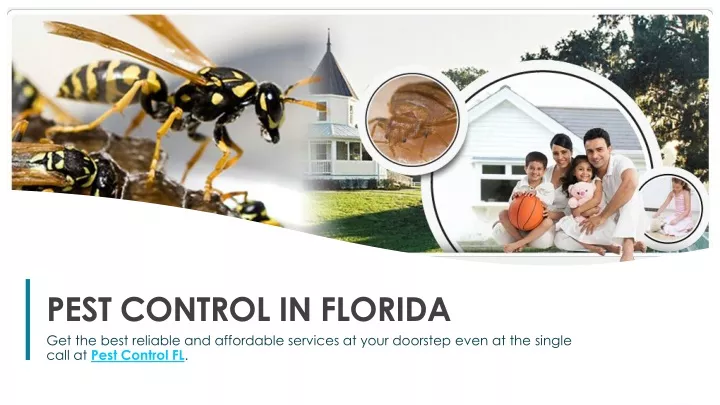 pest control in florida