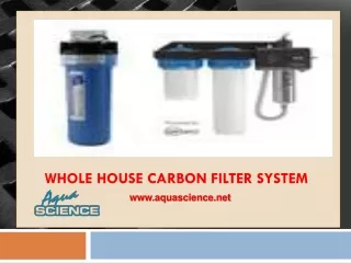 whole house carbon filter system