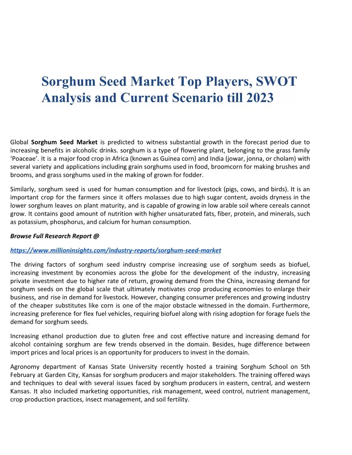 sorghum seed market top players swot analysis