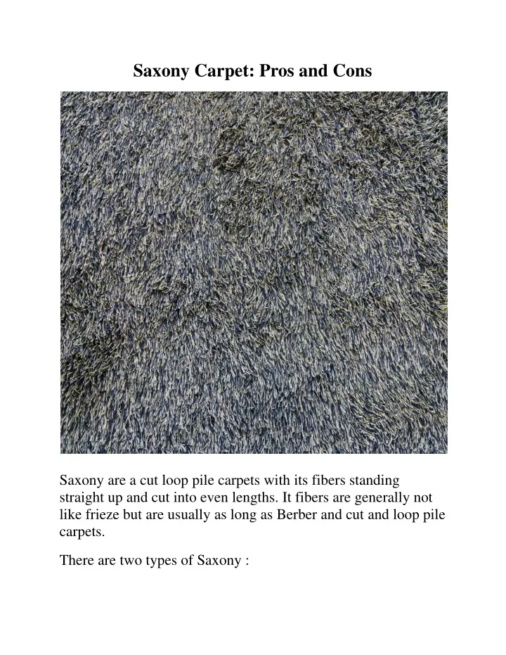 saxony carpet pros and cons