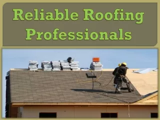 Reliable Roofing Professionals