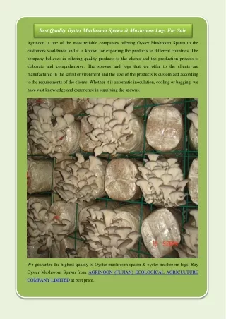 best quality oyster mushroom spawn mushroom logs