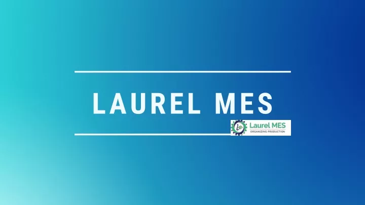 laurel mes