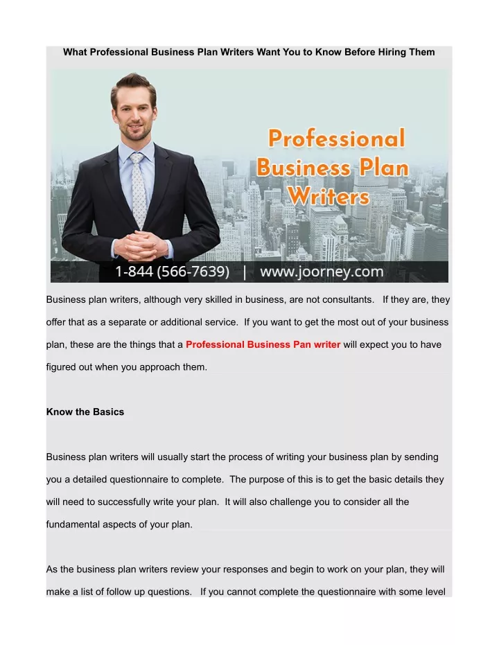 what professional business plan writers want