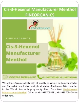 Cis-3-Hexenol Manufacturer Menthol | FINEORGANICS