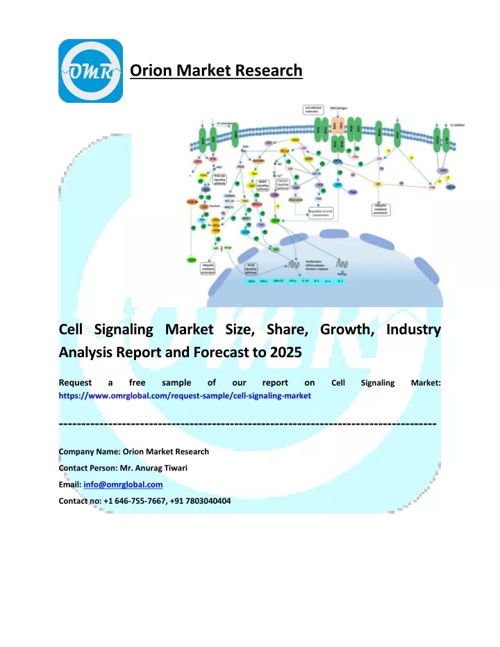 orion market research