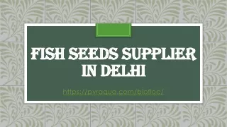 fish seeds supplier in delhi