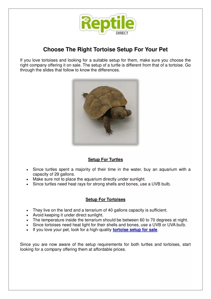 choose the right tortoise setup for your pet