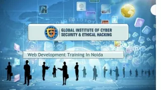 web development t raining in noida