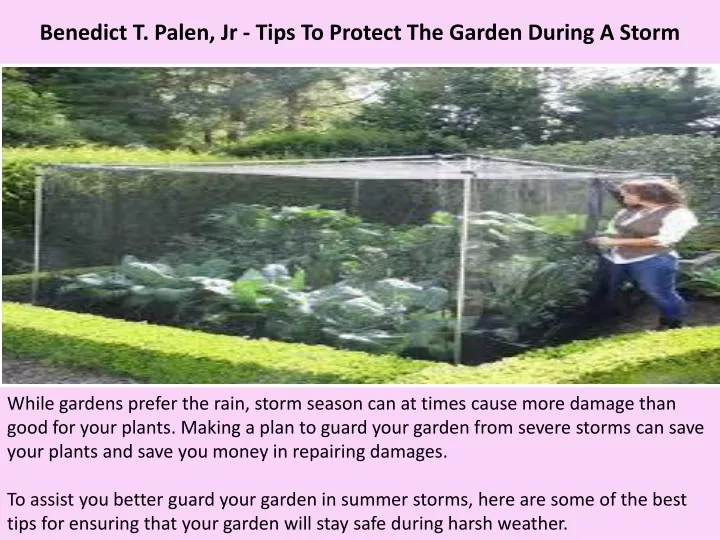 benedict t palen jr tips to protect the garden during a storm