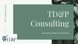 Perfect Economic Analysis Consulting- TD&P Consulting