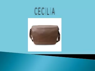Features Of Cecilia Camera Messenger Bags