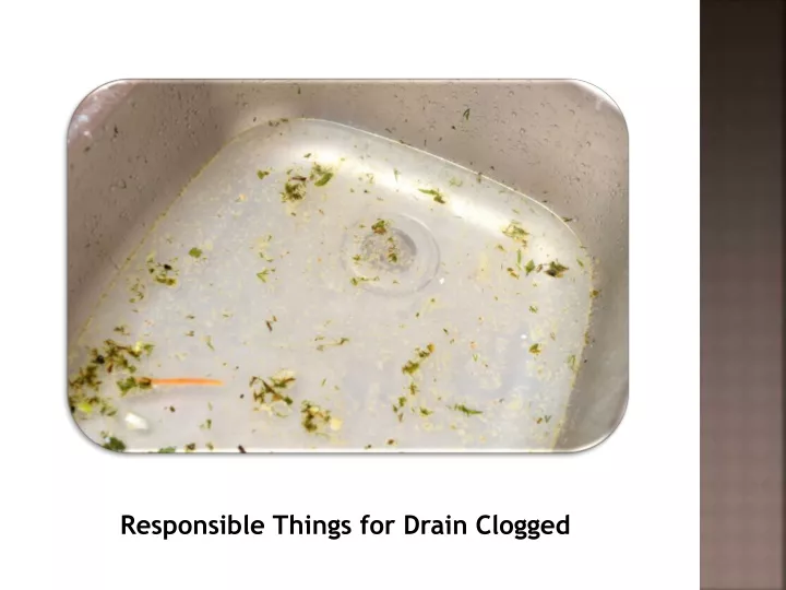 responsible things for drain clogged